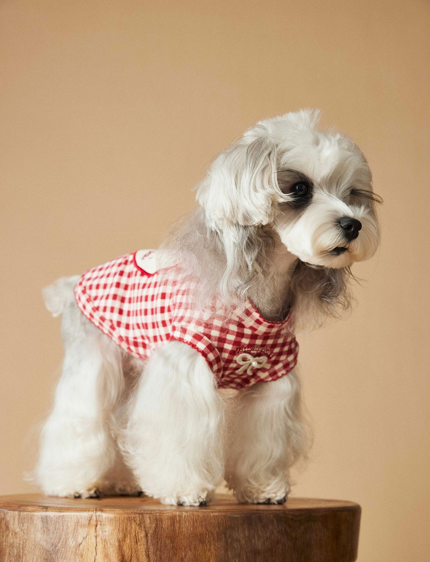 a red plaid sleeveless vest