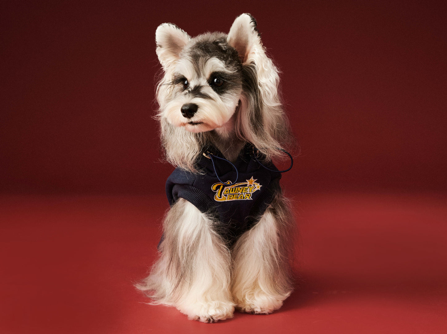 Fleece-lined sleeveless hooded sweatshirt for dogs