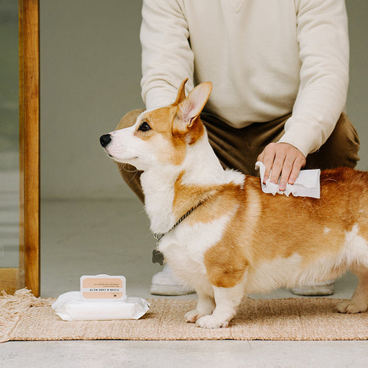 Pet Cleaning Wipes