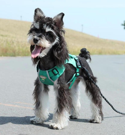 Lightweight pet harness with reflective strips