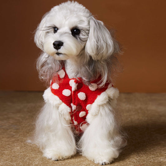 Red polka-dot sleeveless hooded vest for dogs