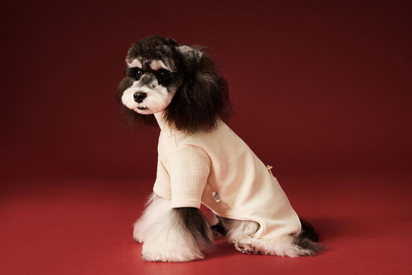 Waffle-patterned four-legged base layer for dogs in autumn and winter