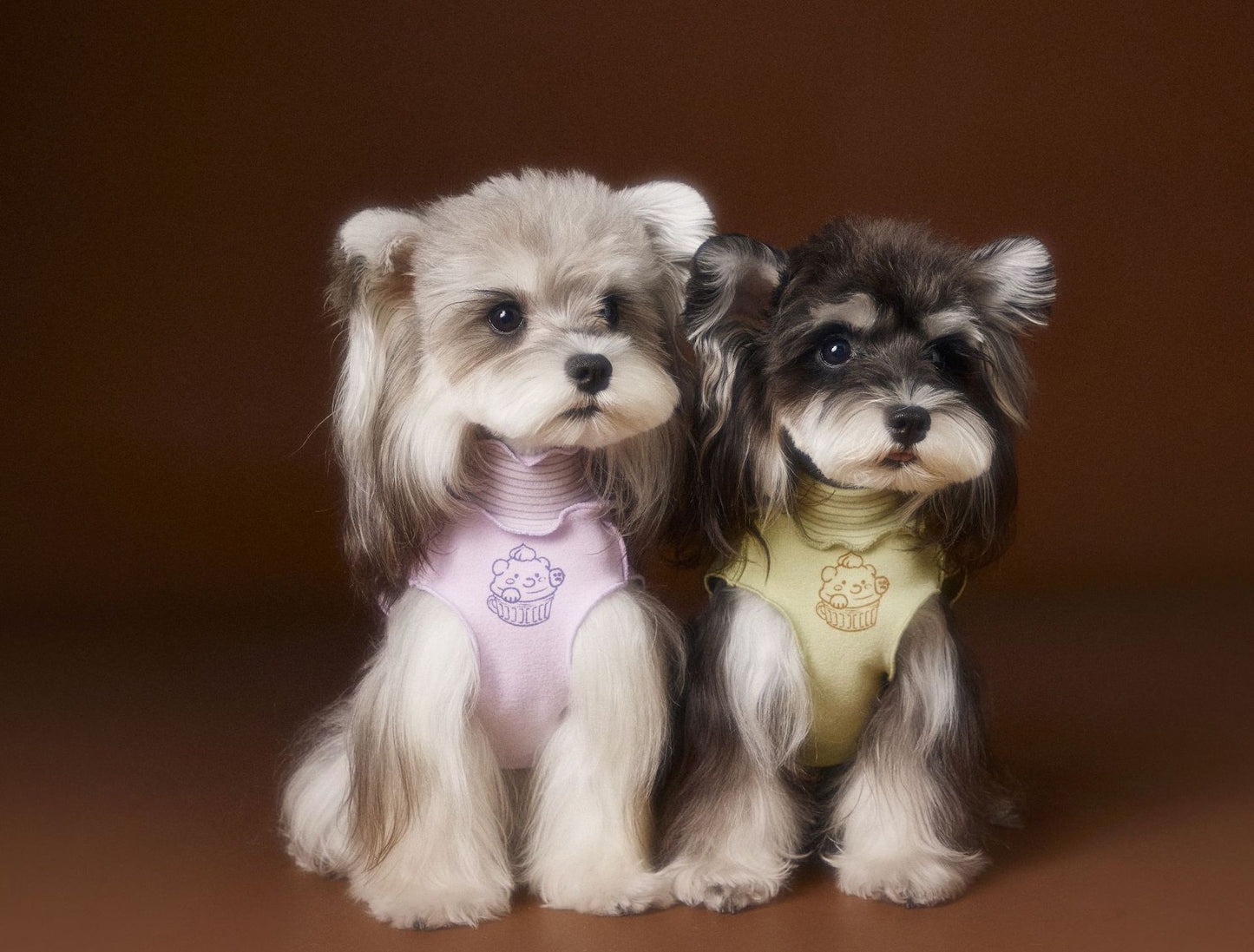 Reversible striped lace trim sleeveless vest for dogs