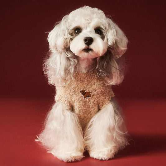 Sleeveless knitted vests for dogs in autumn and winter