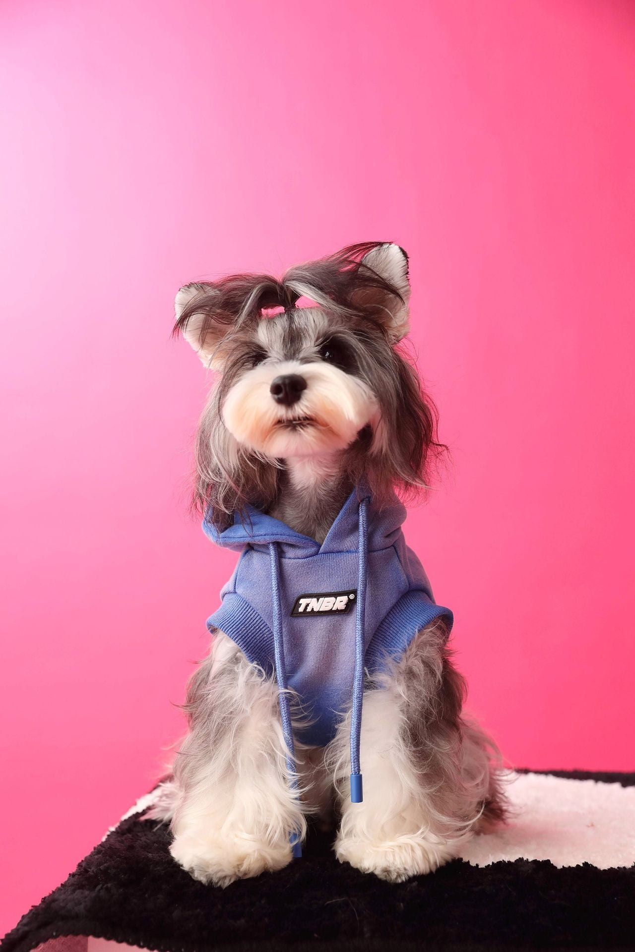 Gradient color sleeveless hooded sweatshirt for dogs