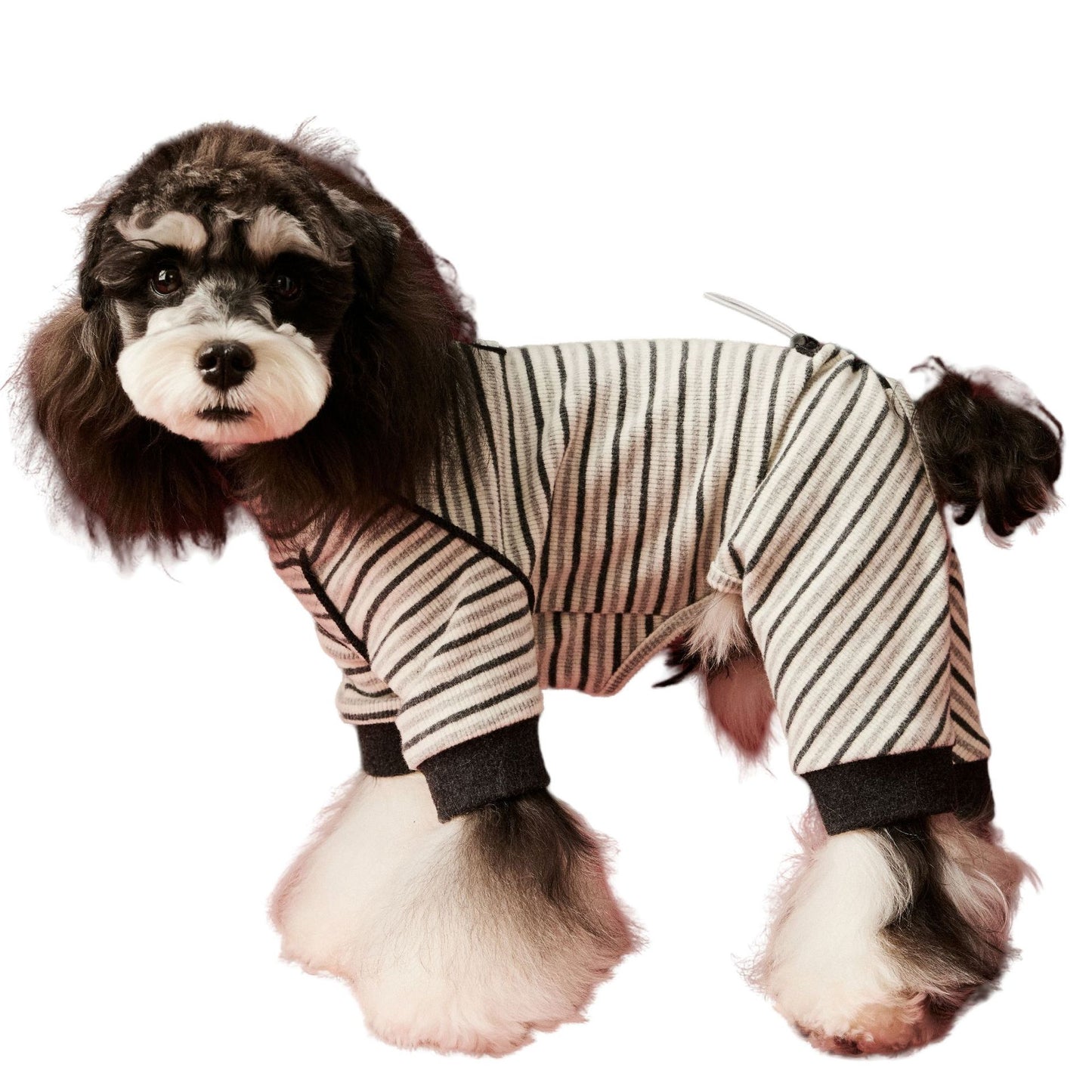 Warm four - legged striped base layer for dogs