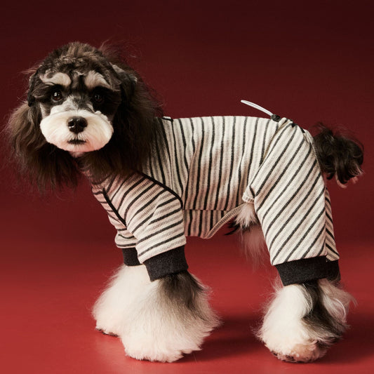 Warm four - legged striped base layer for dogs