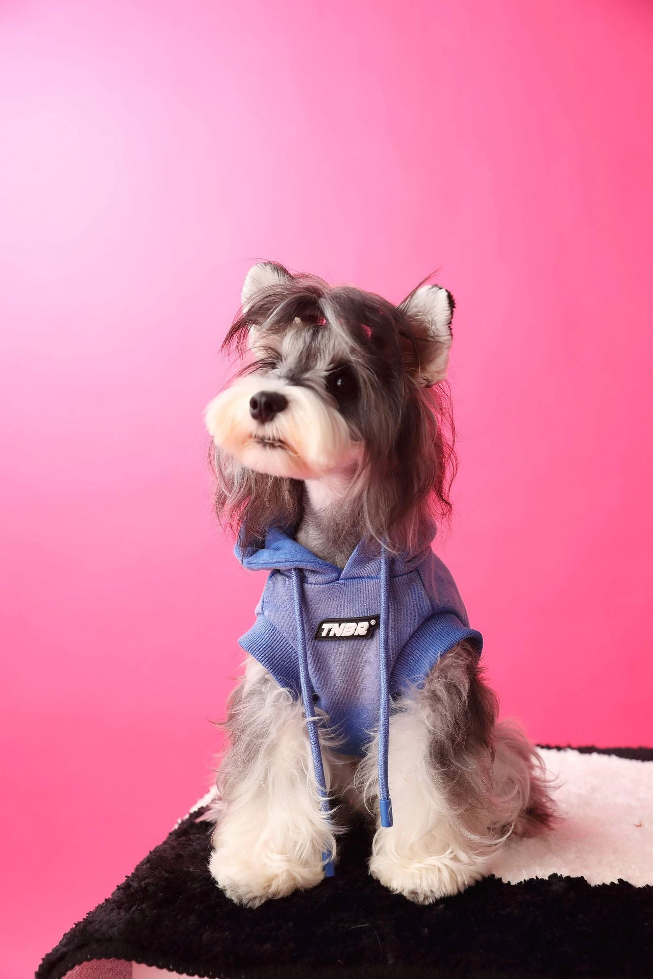 Gradient color sleeveless hooded sweatshirt for dogs