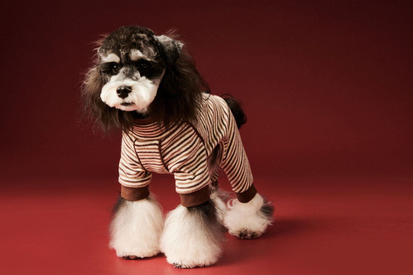 Warm four - legged striped base layer for dogs