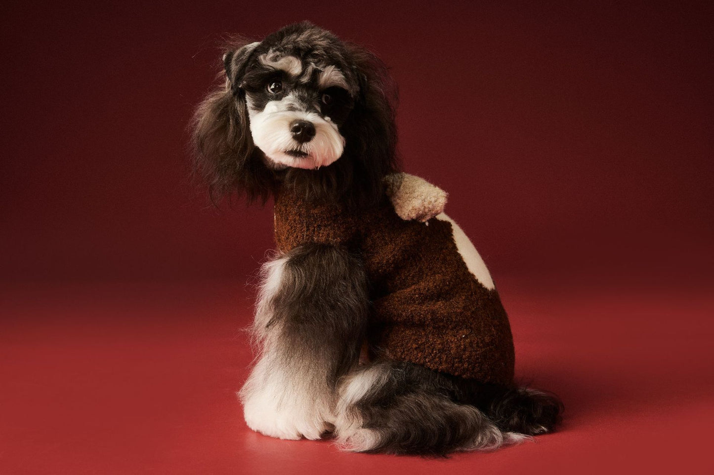 Sleeveless knitted vests for dogs in autumn and winter