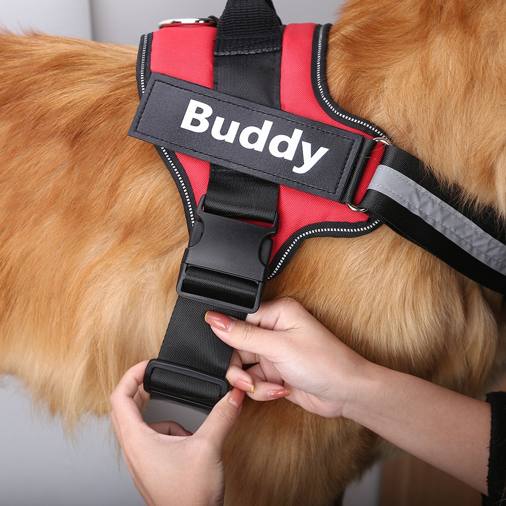 Ultimate Personalized No Pull Dog Harness