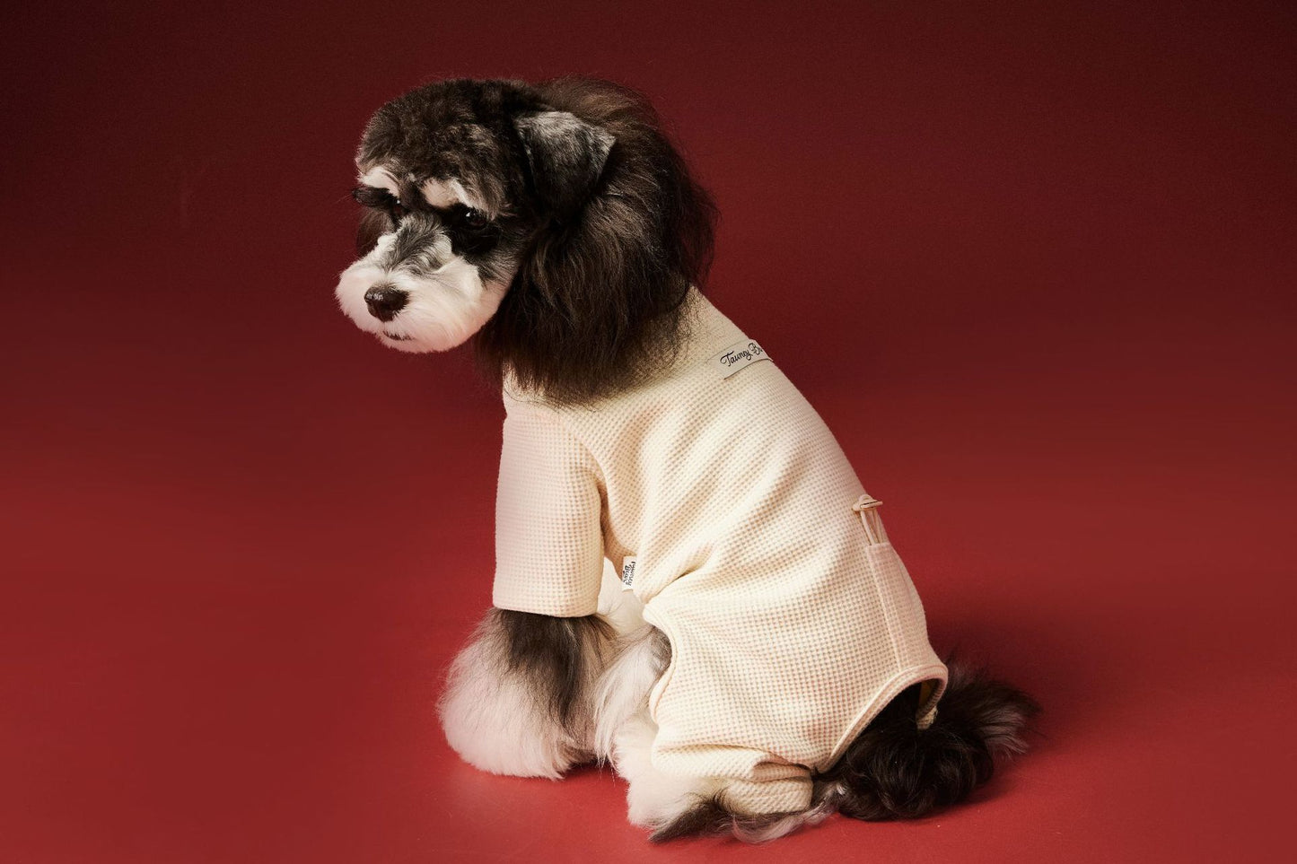 Waffle-patterned four-legged base layer for dogs in autumn and winter
