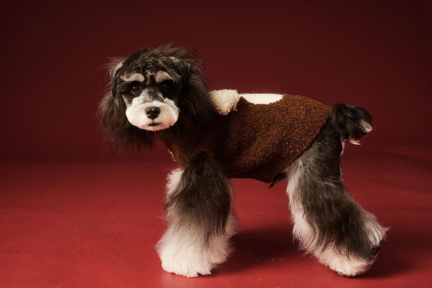 Sleeveless knitted vests for dogs in autumn and winter
