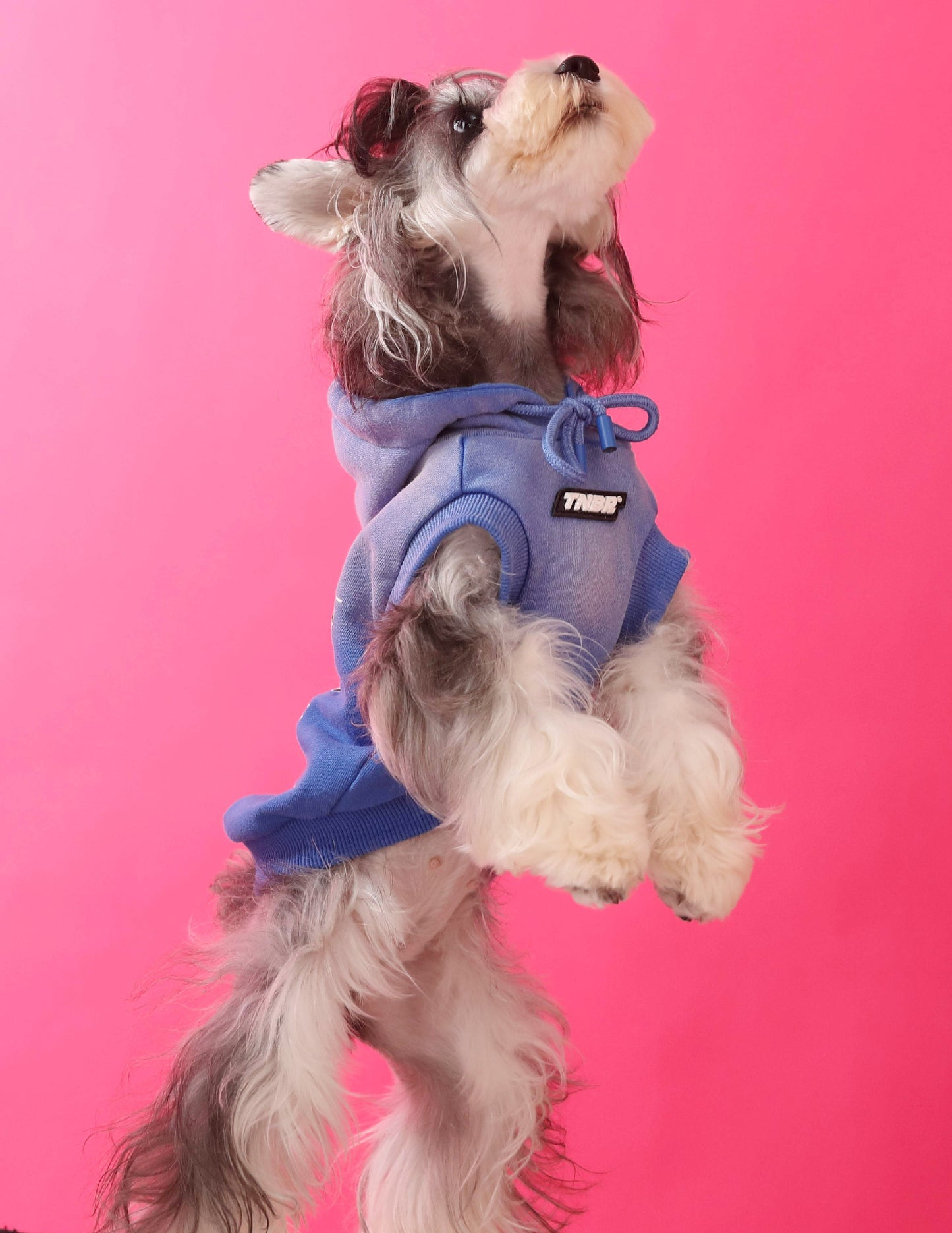 Gradient color sleeveless hooded sweatshirt for dogs