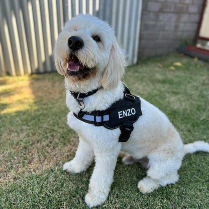 Ultimate Personalized No Pull Dog Harness