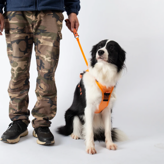 3 in 1 Dog Harness with Built-In Leash