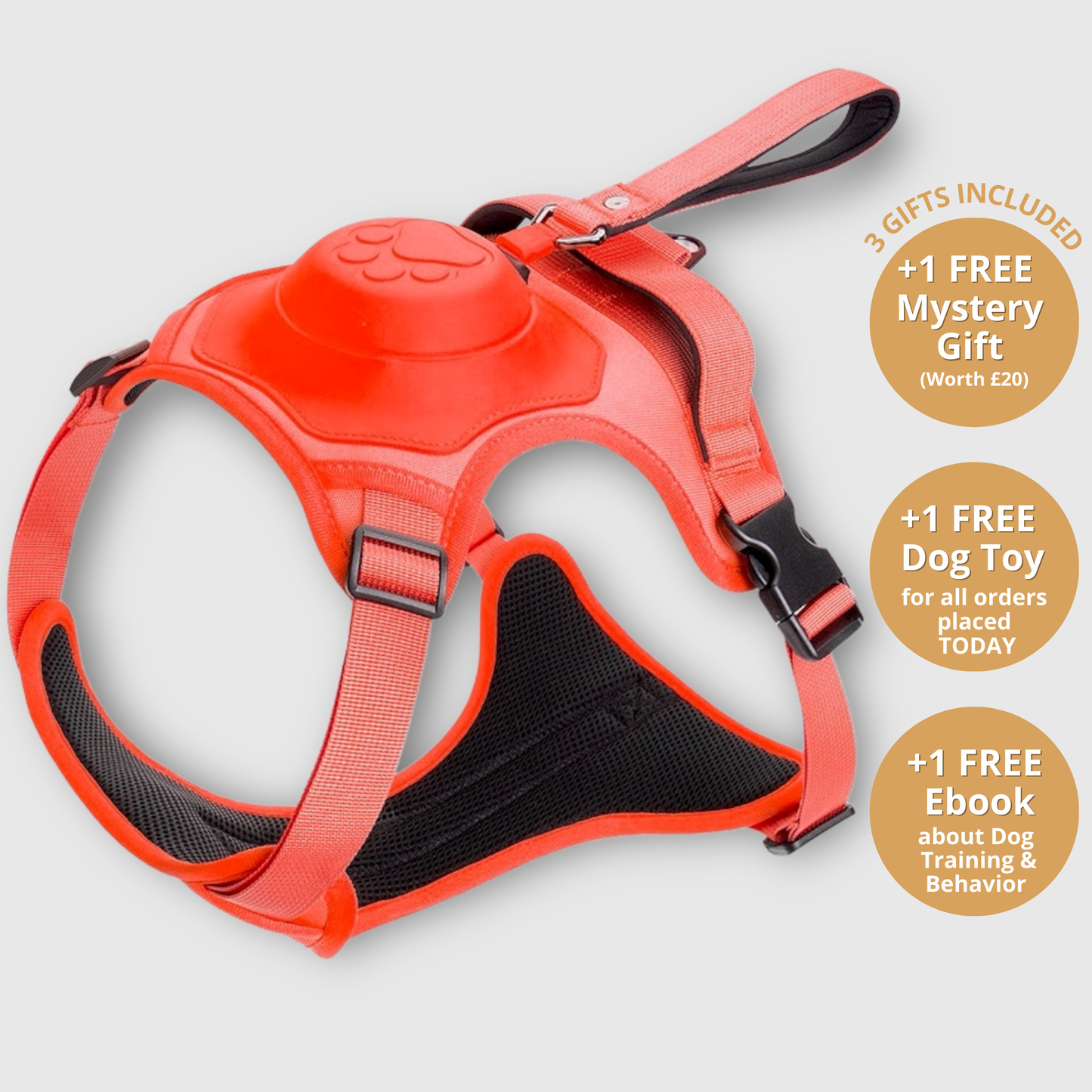 3 in 1 Dog Harness with Built-In Leash