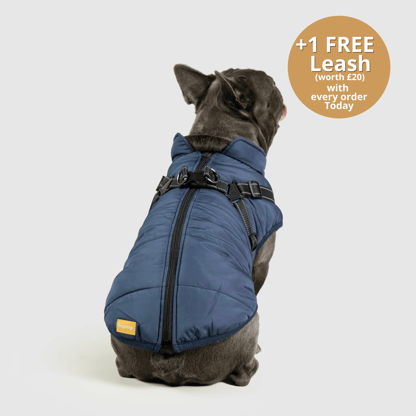 Dog 3 in 1 Jacket