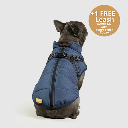Dog 3 in 1 Jacket