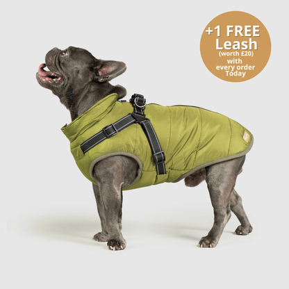 Dog 3 in 1 Jacket