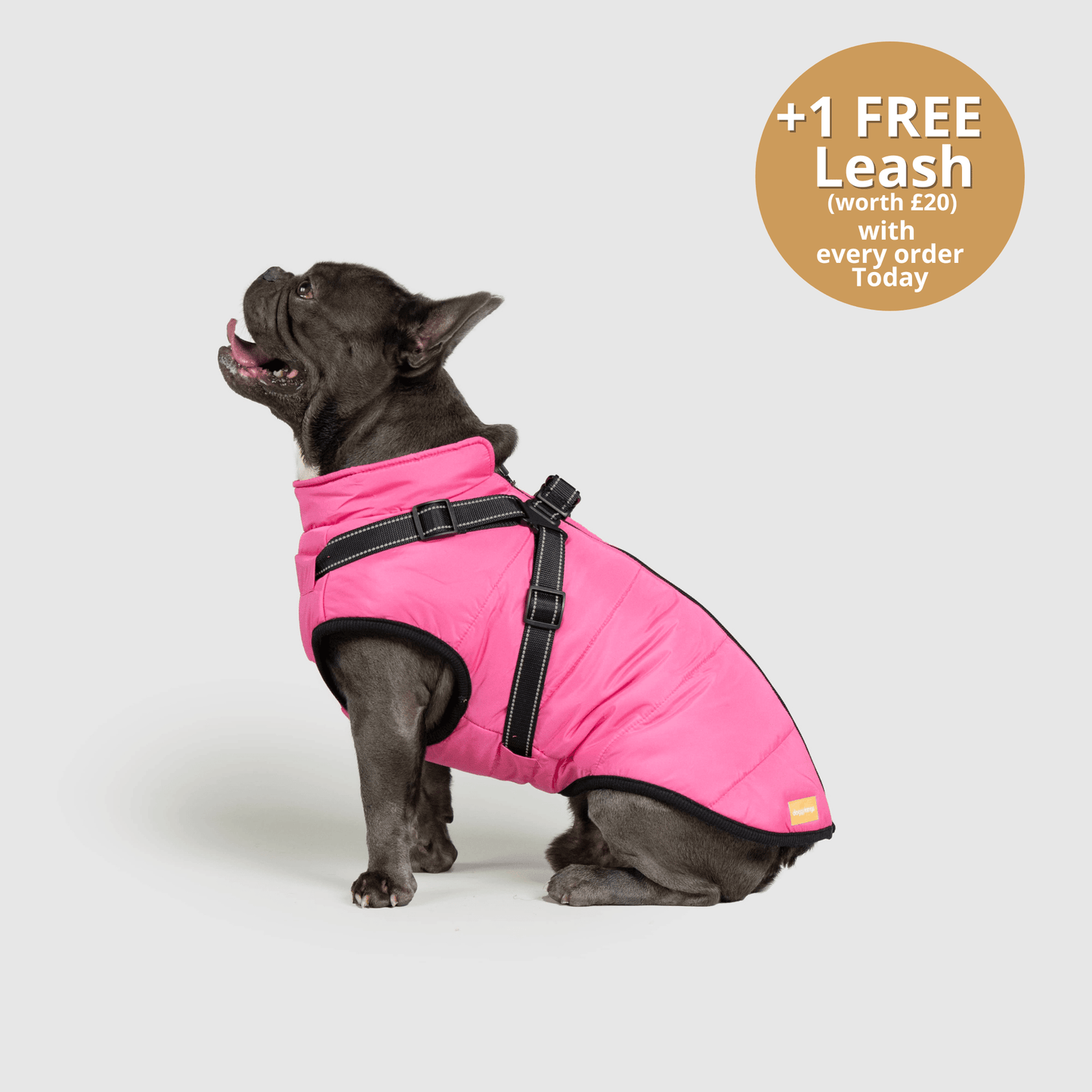 Dog 3 in 1 Jacket