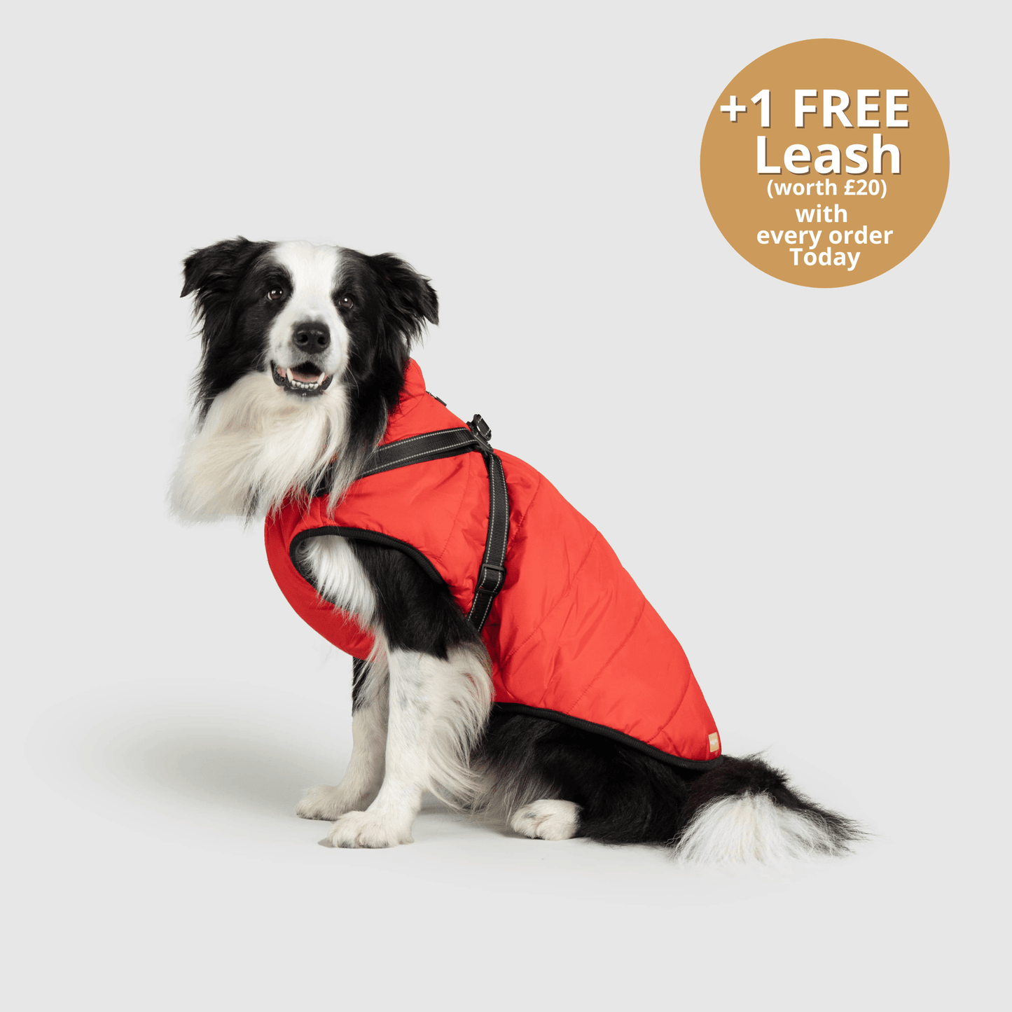 Dog 3 in 1 Jacket