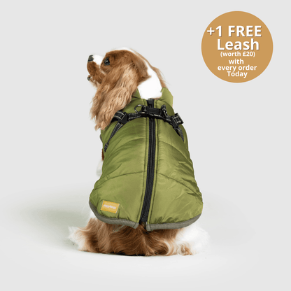 Dog 3 in 1 Jacket