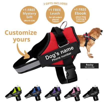 Ultimate Personalized No Pull Dog Harness