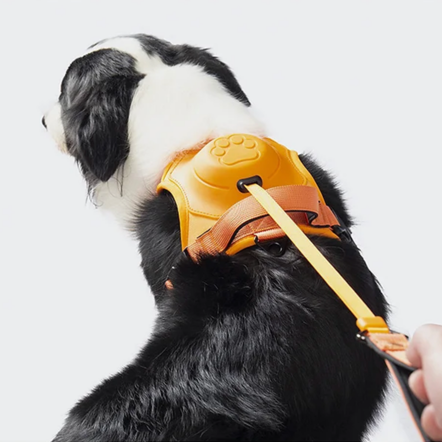 3 in 1 Dog Harness with Built-In Leash