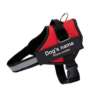 Ultimate Personalized No Pull Dog Harness
