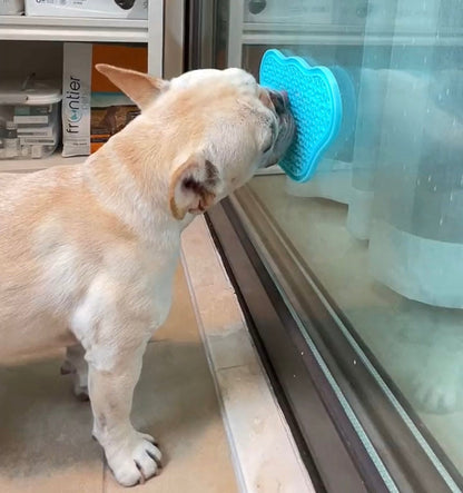 Slow Pet Feeder
