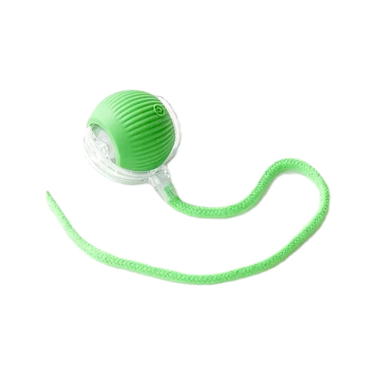 Interactive Rolling Ball Toy