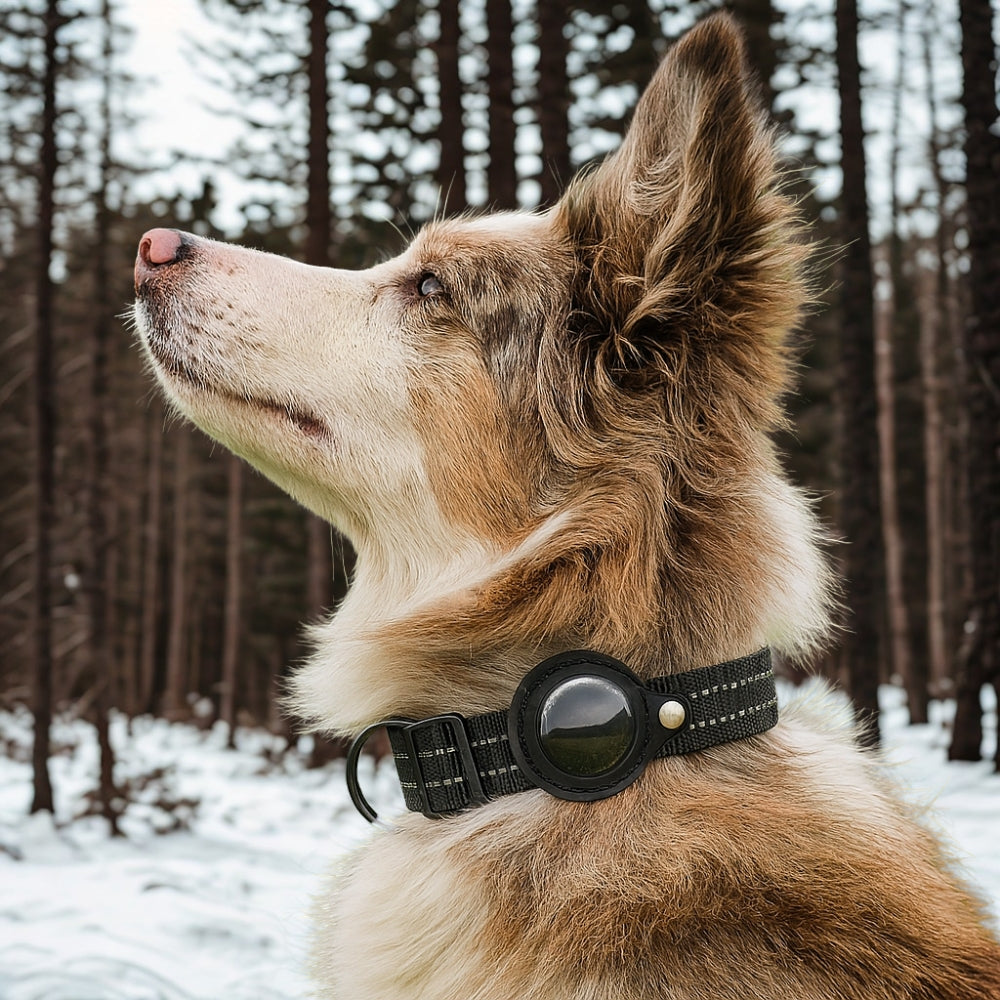 Waterproof Smart Pet Collar Tracker