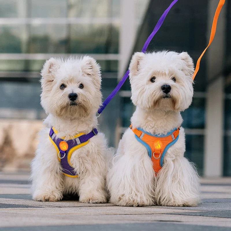 Dogs Harness Vest Walking Traction Rope Reflective Straps Soft Mesh