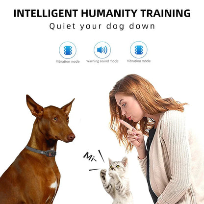 Automatic Anti-Bark Collar