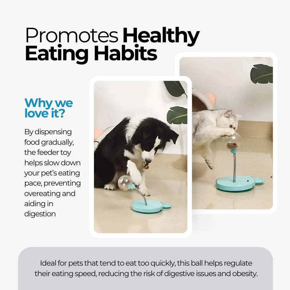 Interactive Dog Feeder Toy