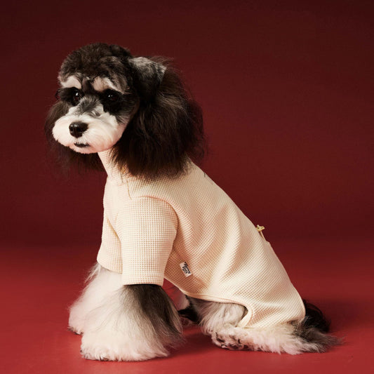 Waffle-patterned four-legged base layer for dogs in autumn and winter